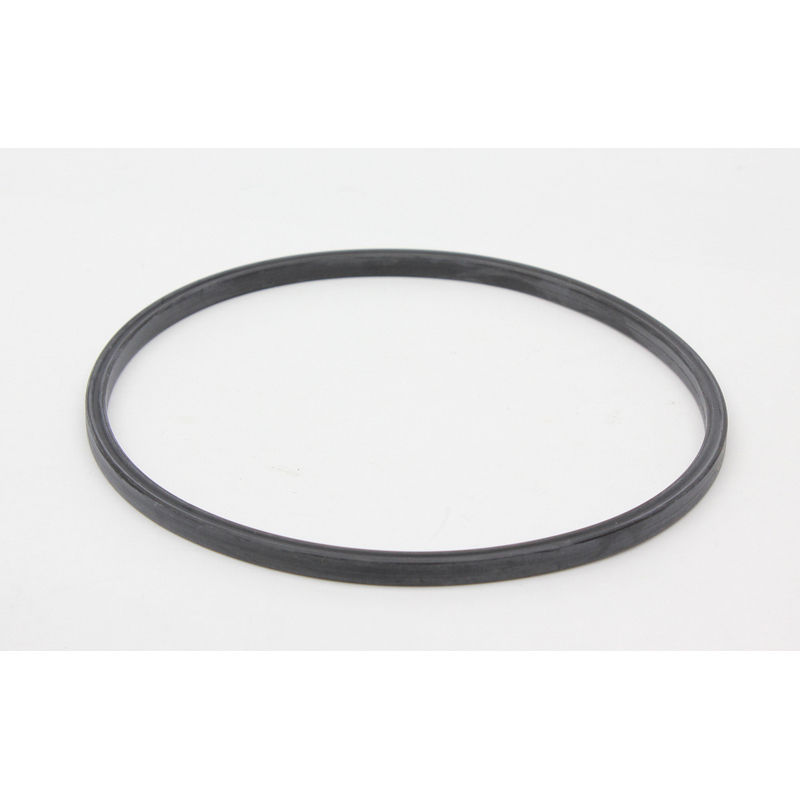 Fuel Pump Tank Seal
